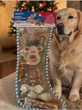 Dog ChewToys in a Christmas Stocking  -